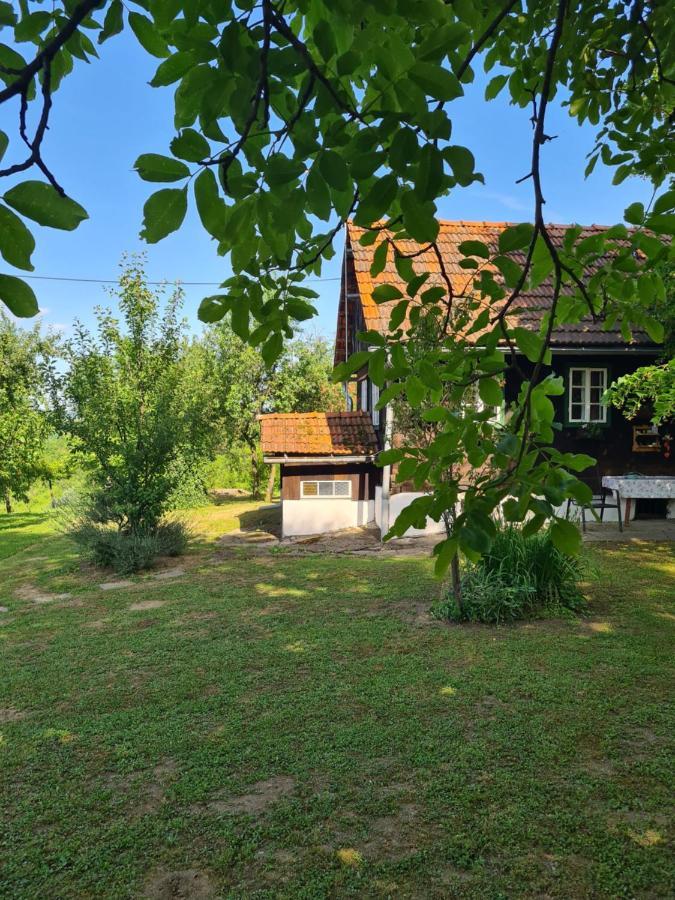 Holiday Home Hizica V Plavem Trnacu Gornja Stubica Luaran gambar